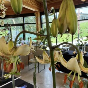 White lilies blooming indoors with a view of the garden outside.
