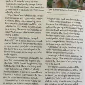 Article about Asiatic lilies and interdivisionals.