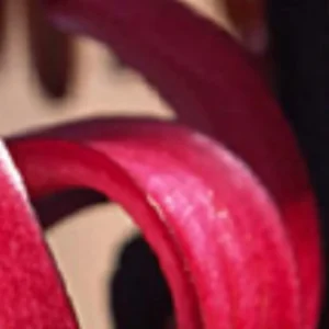 Red and pink curved abstract shapes close-up.