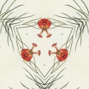 Red flowers and green leaves in symmetrical pattern.