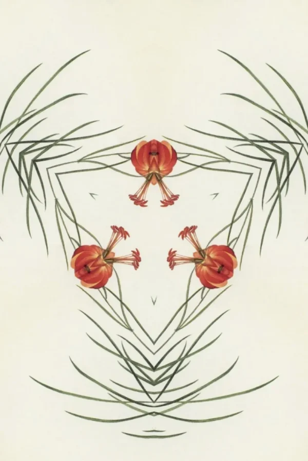 Red flowers and green leaves in symmetrical pattern.