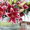 Pink lilies in a glass vase arrangement.