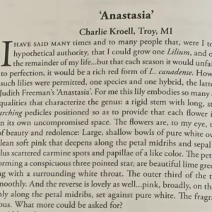 'Anastasia' lily description, Charlie Kroell.
