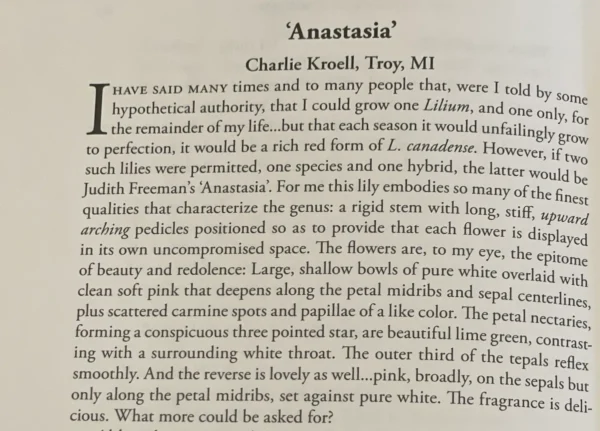 'Anastasia' lily description, Charlie Kroell.