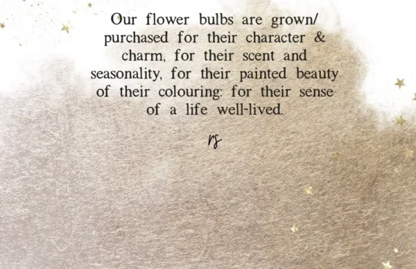A close up of the words on a book