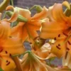 Orange lilies with brick background.