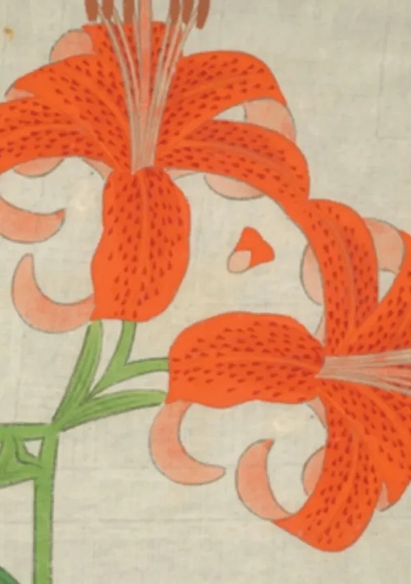 Illustration of vibrant orange lilies on stem.