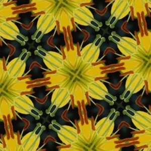Kaleidoscope pattern of yellow and brown shapes.