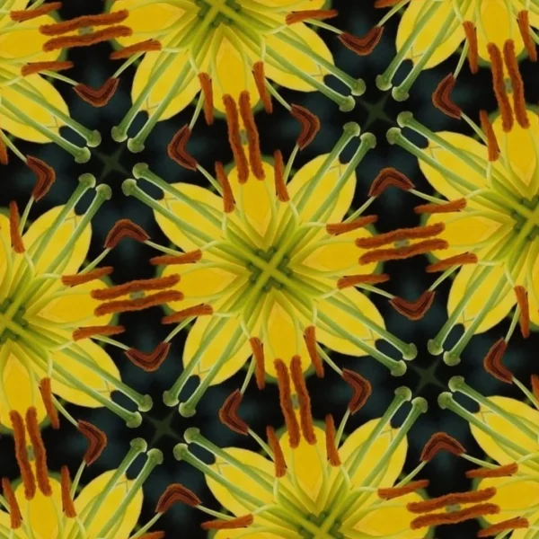 Kaleidoscope pattern of yellow and brown shapes.