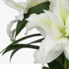 Elegant white lilies with green leaves.