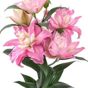 A bouquet of pink flowers with green leaves.