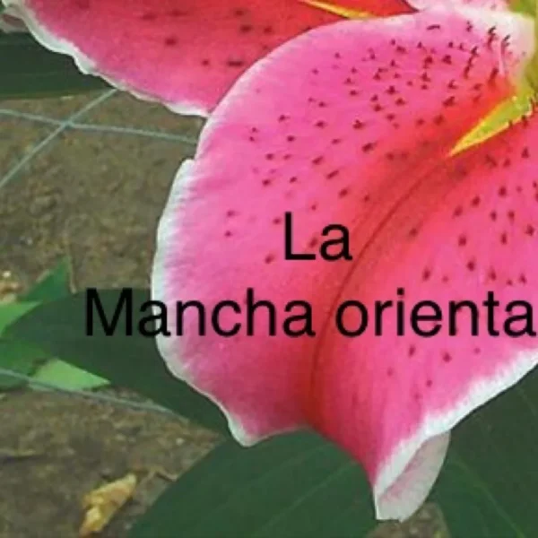 A pink flower with the words " la mancha oriental ".