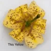 Speckled yellow lily flower on white