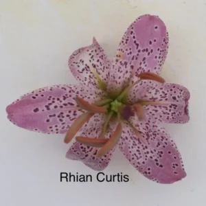 A close up of the flower with name written on it