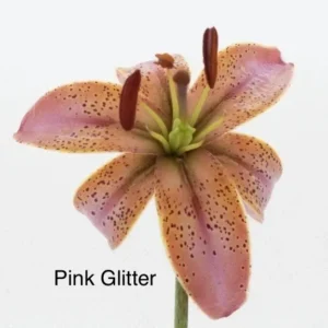 A pink flower with the word " pink glitter " written on it.