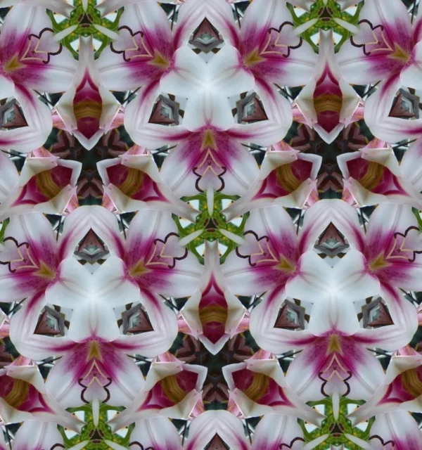 Kaleidoscope pattern of pink and white flowers.