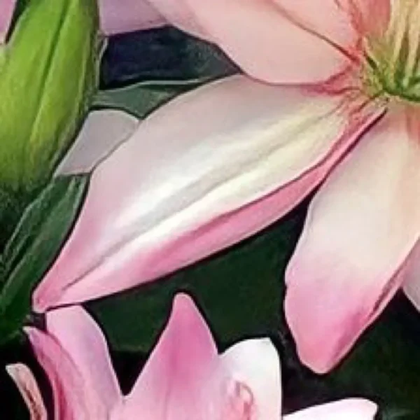 Pink lilies in dark green setting.