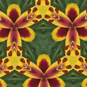 Kaleidoscope pattern of yellow and red flowers.