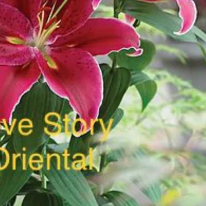 A close up of a flower with the words " love story oriental !"