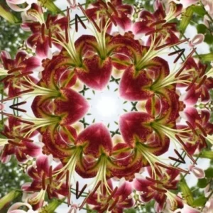 Kaleidoscope pattern of pink and green flowers.