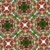 Colorful floral kaleidoscope pattern with green accents.