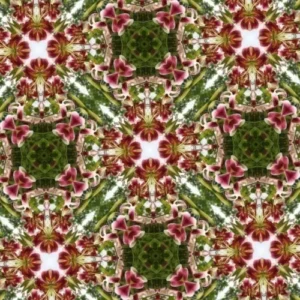 Colorful floral kaleidoscope pattern with green accents.