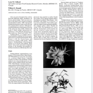 Article about 'Northern Beauty' Lily cultivation.