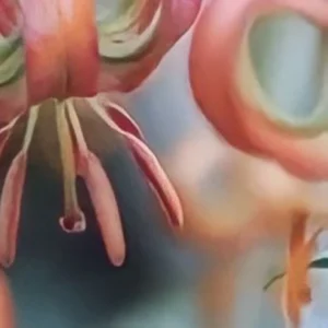 Close-up of vibrant, abstract floral shapes.
