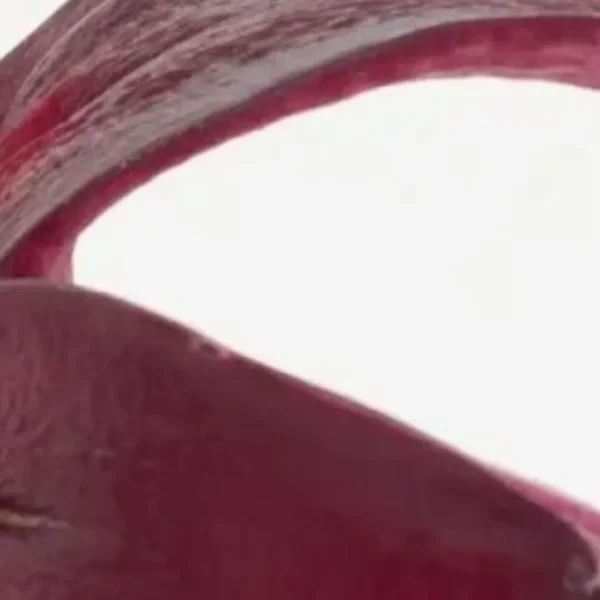 Close-up of red strappy high-heeled sandal
