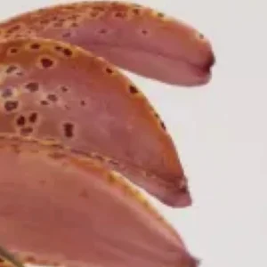 A close up of some food on a plate