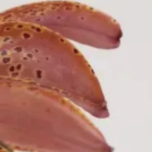 A close up of some food on a plate