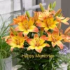 A close up of some flowers with the words " happy memories ".