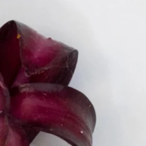 A close up of some purple food on top of a white surface