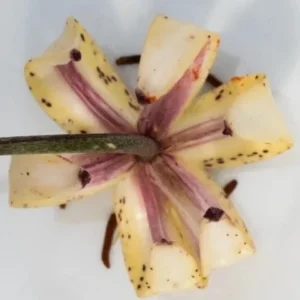 A piece of food that is cut in half.