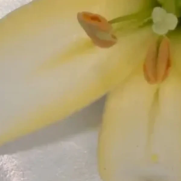 A close up of some fruit on the table