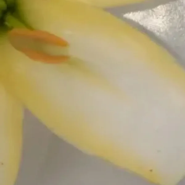 A close up of the fruit in the picture.