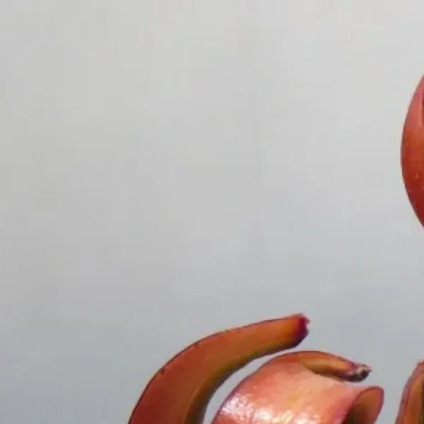 A person holding an apple and banana in their hands.