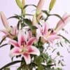 Pink lilies bouquet with eucalyptus.