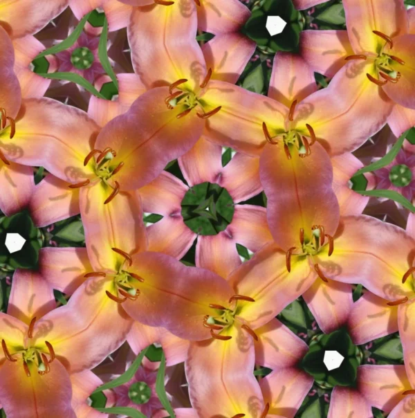 A pink and yellow flower pattern with green leaves.