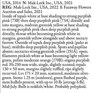 Detailed description of lily variety