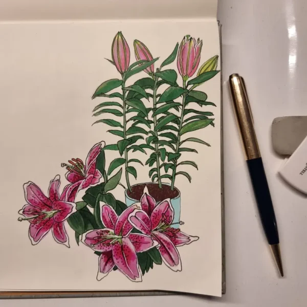 Sketch of lilies in a pot.
