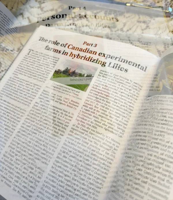 Canadian experimental farm lilies.