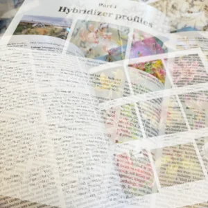 Hybridizer profiles and lily photos.
