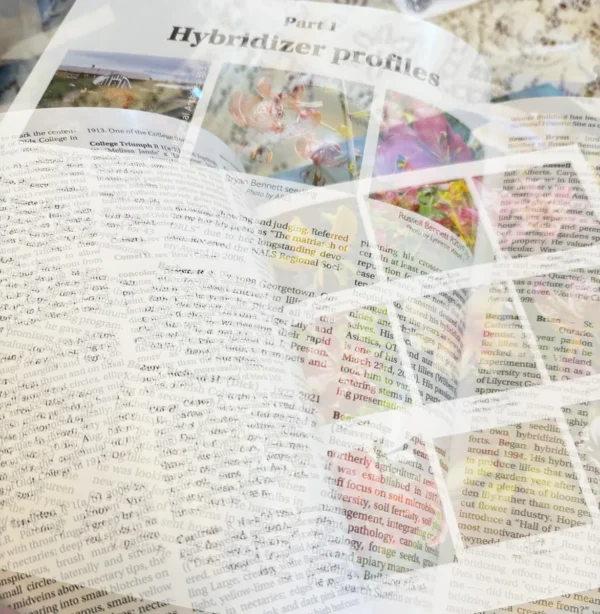 Hybridizer profiles and lily photos.