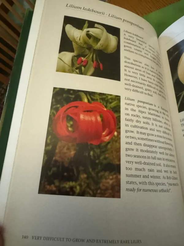 Rare lilies: *Lilium ledebourii* and *pomponium*.