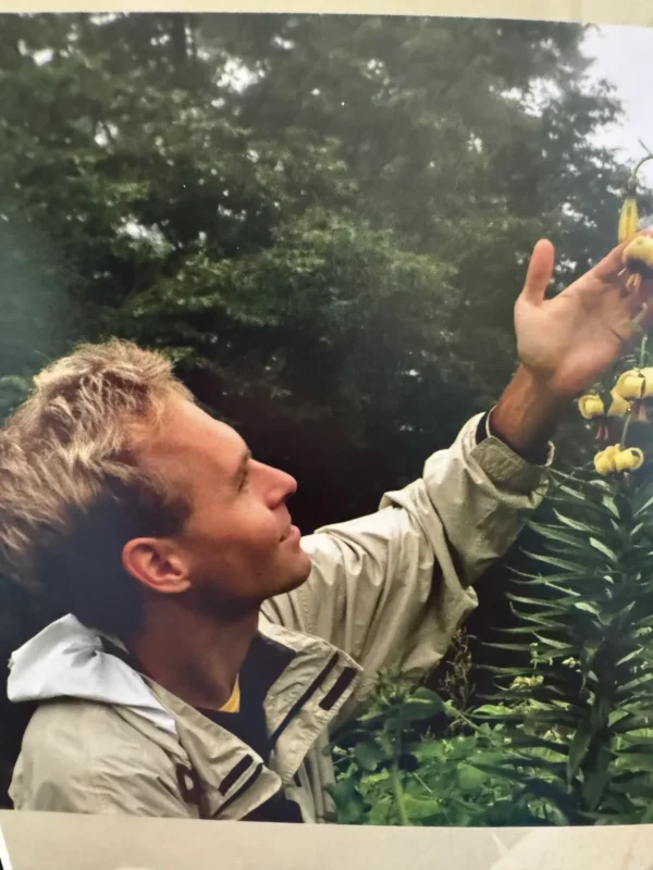 Man admiring yellow lilies outdoors.