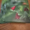 Lily species and their bulbs book.
