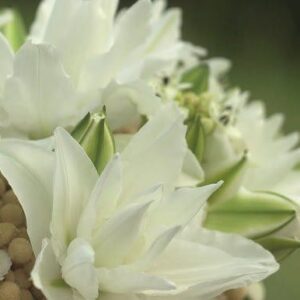 Elegant white lily bouquet arrangement.