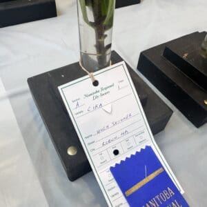Lily exhibit with award ribbon and label.