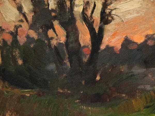 A dark silhouette of trees against a warm, dusky sky.